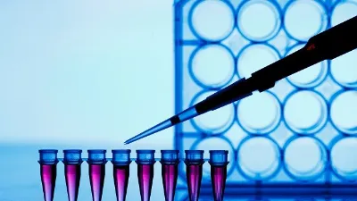 DMD/BMD Kas Hastalığı